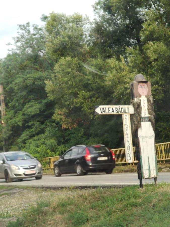Pensiunea Valea Badilii Valea Iasului Esterno foto