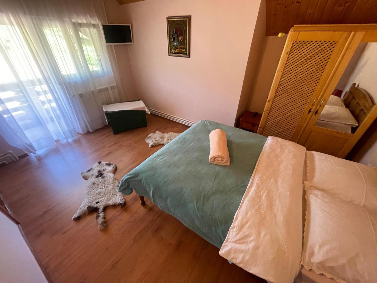Pensiunea Valea Badilii Valea Iasului Esterno foto