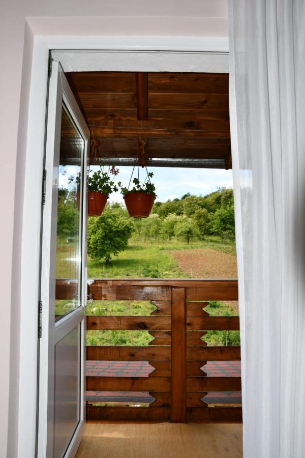 Pensiunea Valea Badilii Valea Iasului Esterno foto