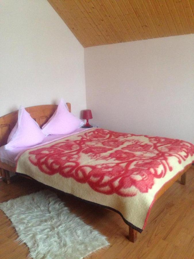 Pensiunea Valea Badilii Valea Iasului Esterno foto