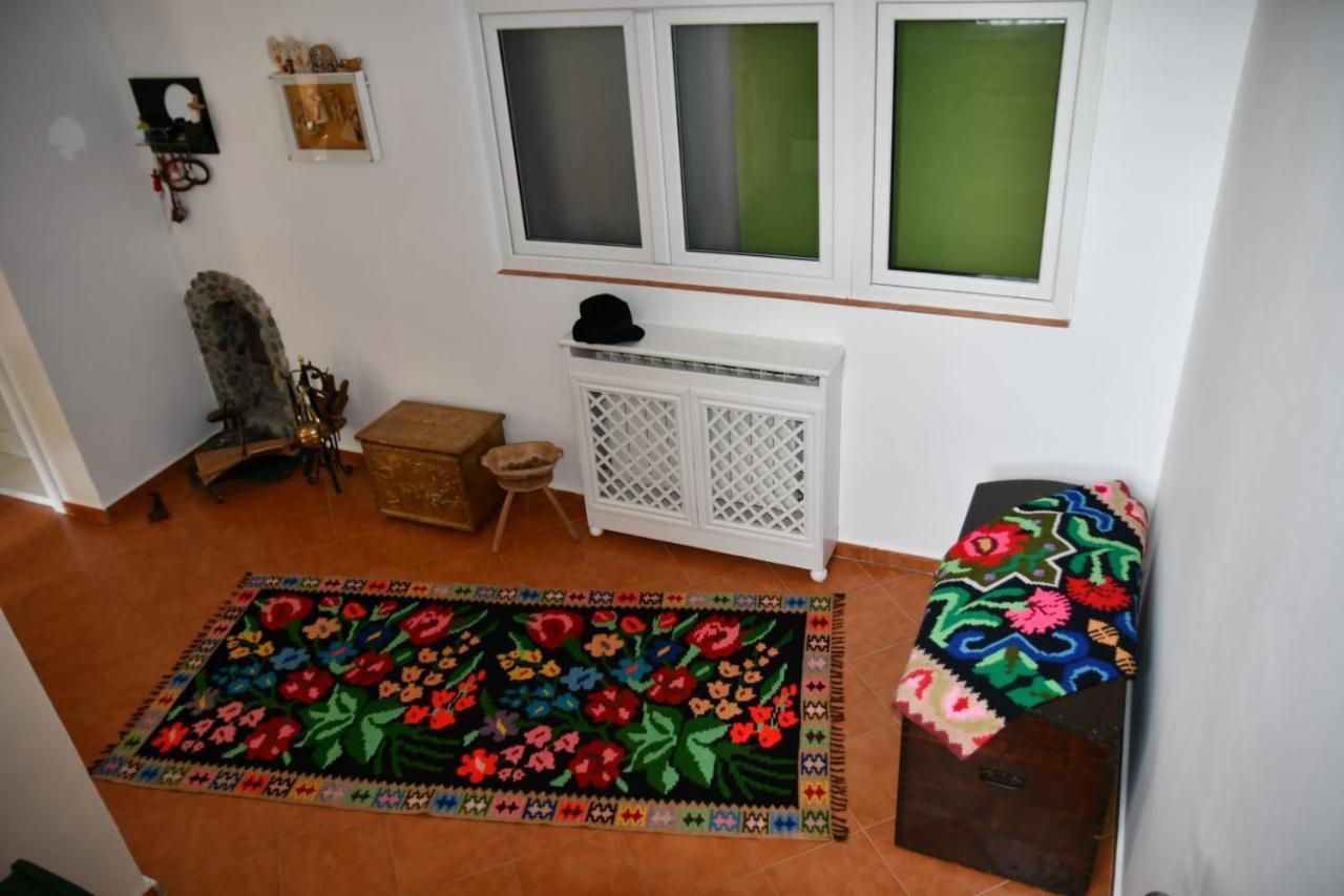 Pensiunea Valea Badilii Valea Iasului Esterno foto