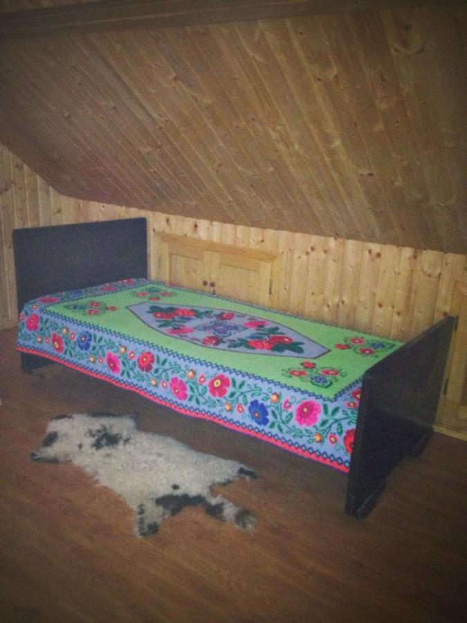 Pensiunea Valea Badilii Valea Iasului Esterno foto