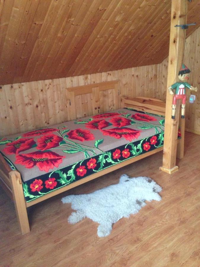 Pensiunea Valea Badilii Valea Iasului Esterno foto